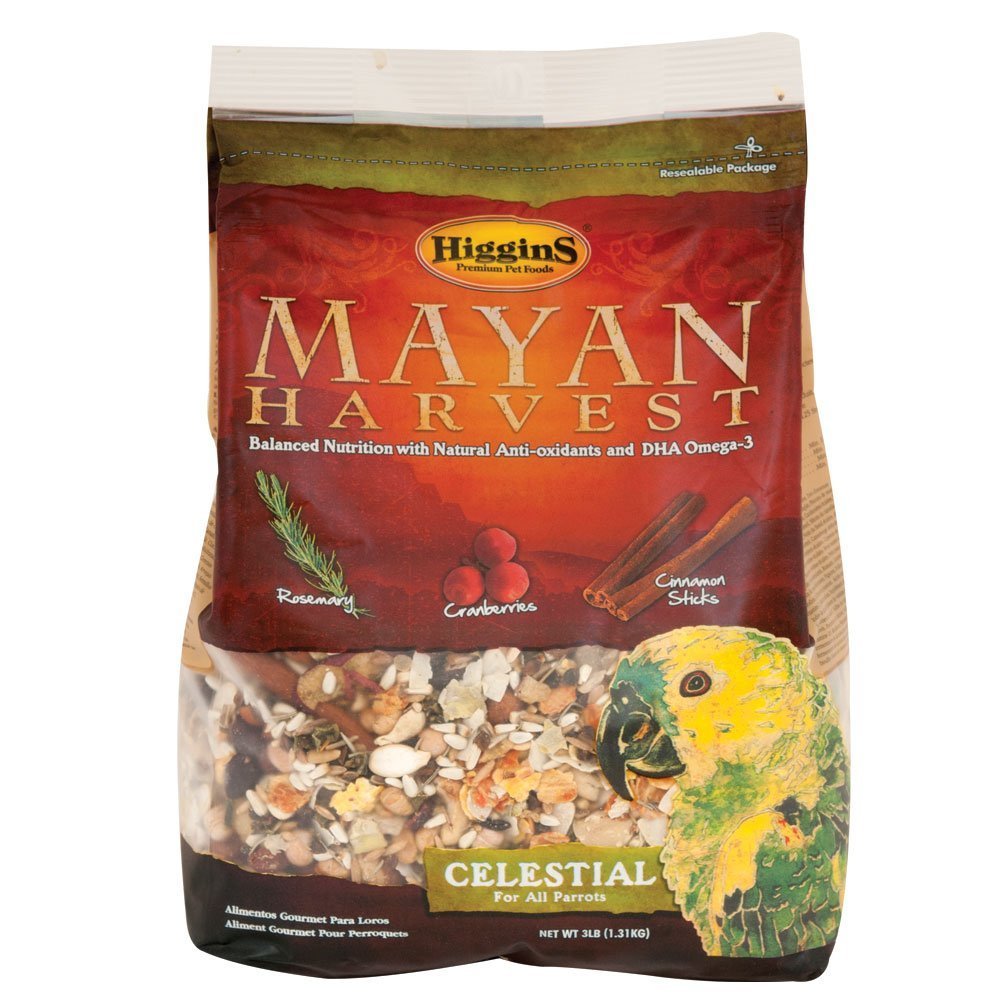 Higgins Mayan Harvest Celestial pour perroquets, mélange fruits et épices pour enrichissement quotidien.
