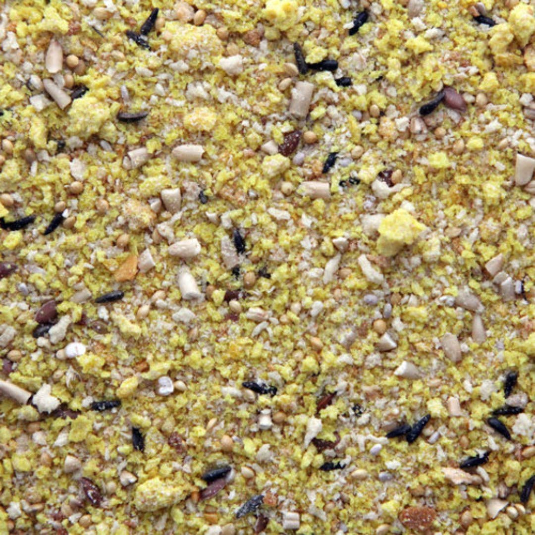 Higgins – plat-mangeoire avec nourriture pour oiseaux, soutient oméga-3 et oméga-6 d’origine végétale.