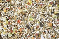 Higgins Safflower Gold, emballage clair illustrant la qualité et la praticité pour oiseaux.