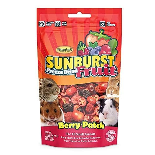 Friandises Higgins Berry Patch: baies sèches pour stimuler l'appétit des petits animaux.