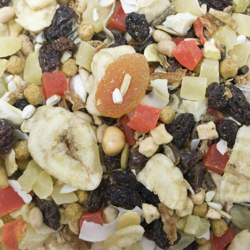 Bol Higgins Sunburst Fruits et Légumes pour grand oiseau à bec crochu, prêt à servir.