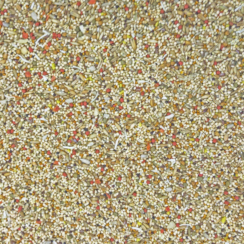 Higgins Sunburst Gourmet Blend pour perruche — bol d'alimentation clair et coloré.
