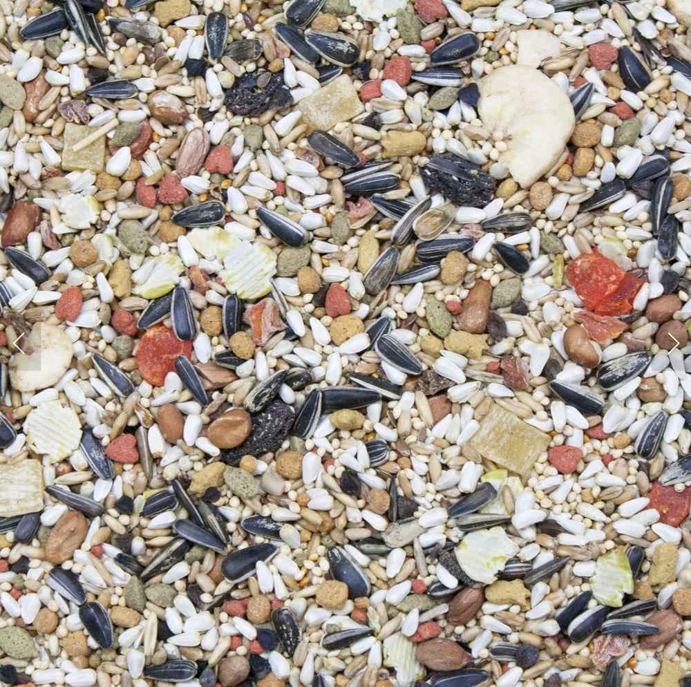 Higgins Vita Seed – DHA oméga-3 et oméga-6 pour énergie et antioxydants