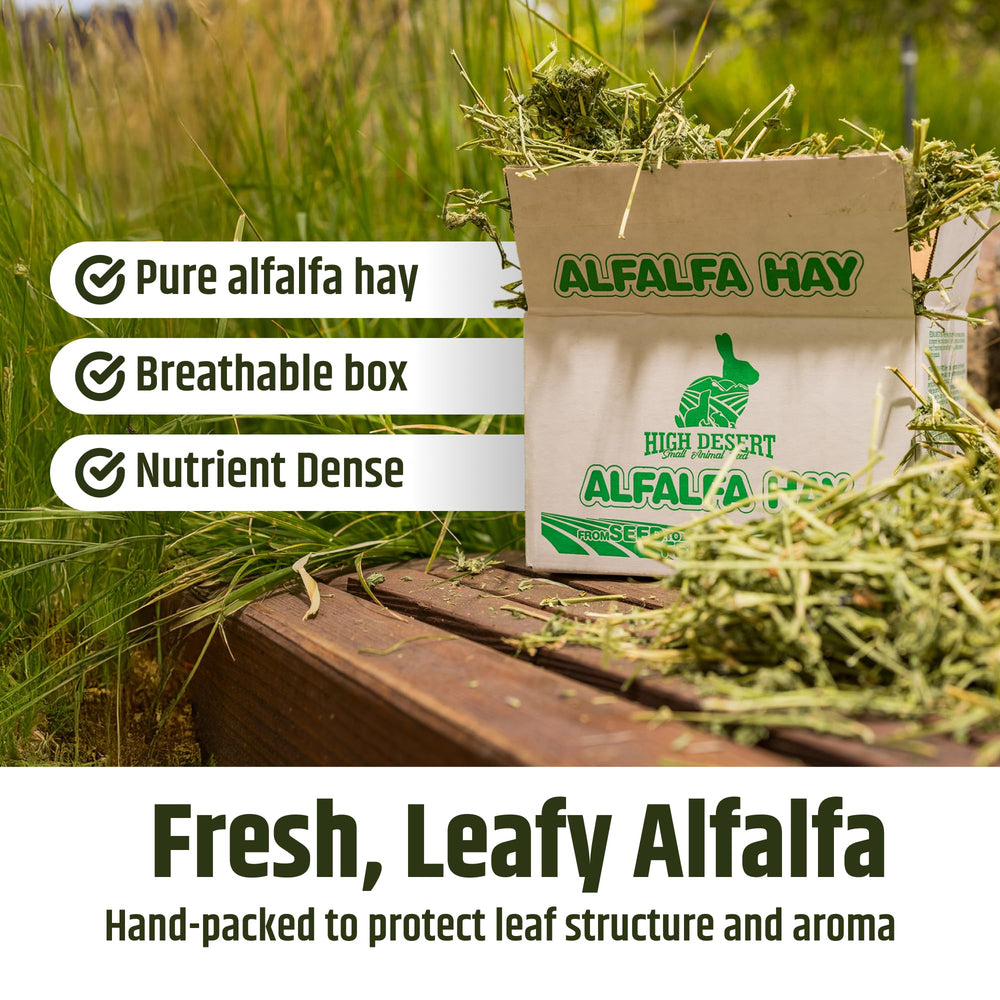 High Desert Alfalfa: texture légère appréciée par les rongeurs.