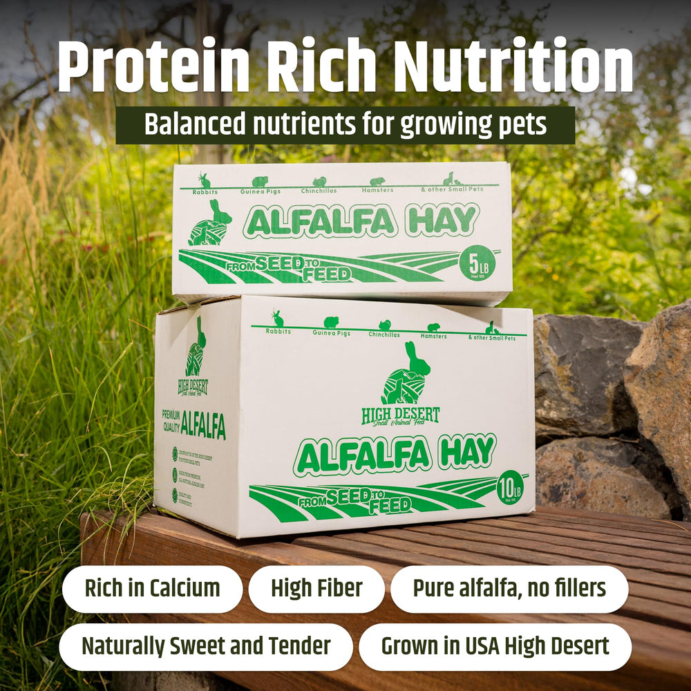 High Desert alfalfa, protéines naturelles, parfait pour jeunes cobayes et croissance.