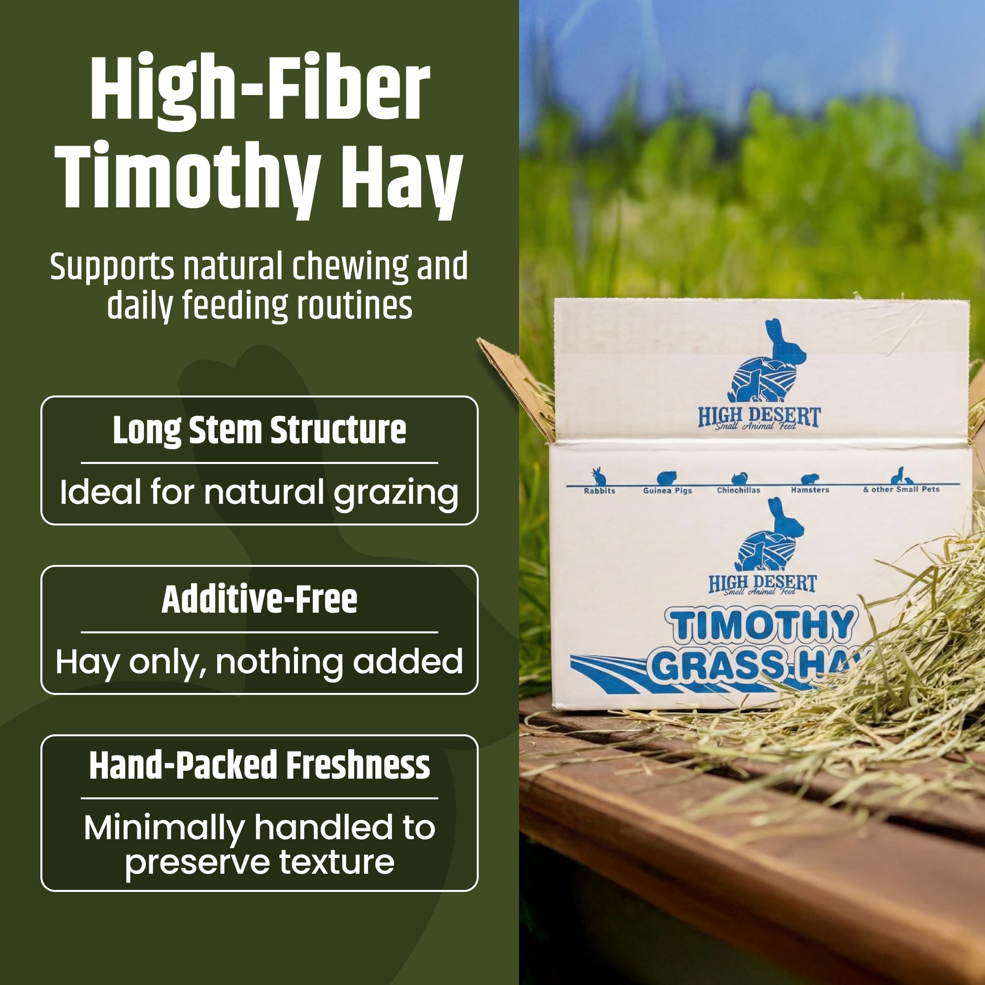 High Desert foin Timothy 2e coupe, texture douce pour cobayes et alimentation quotidienne.