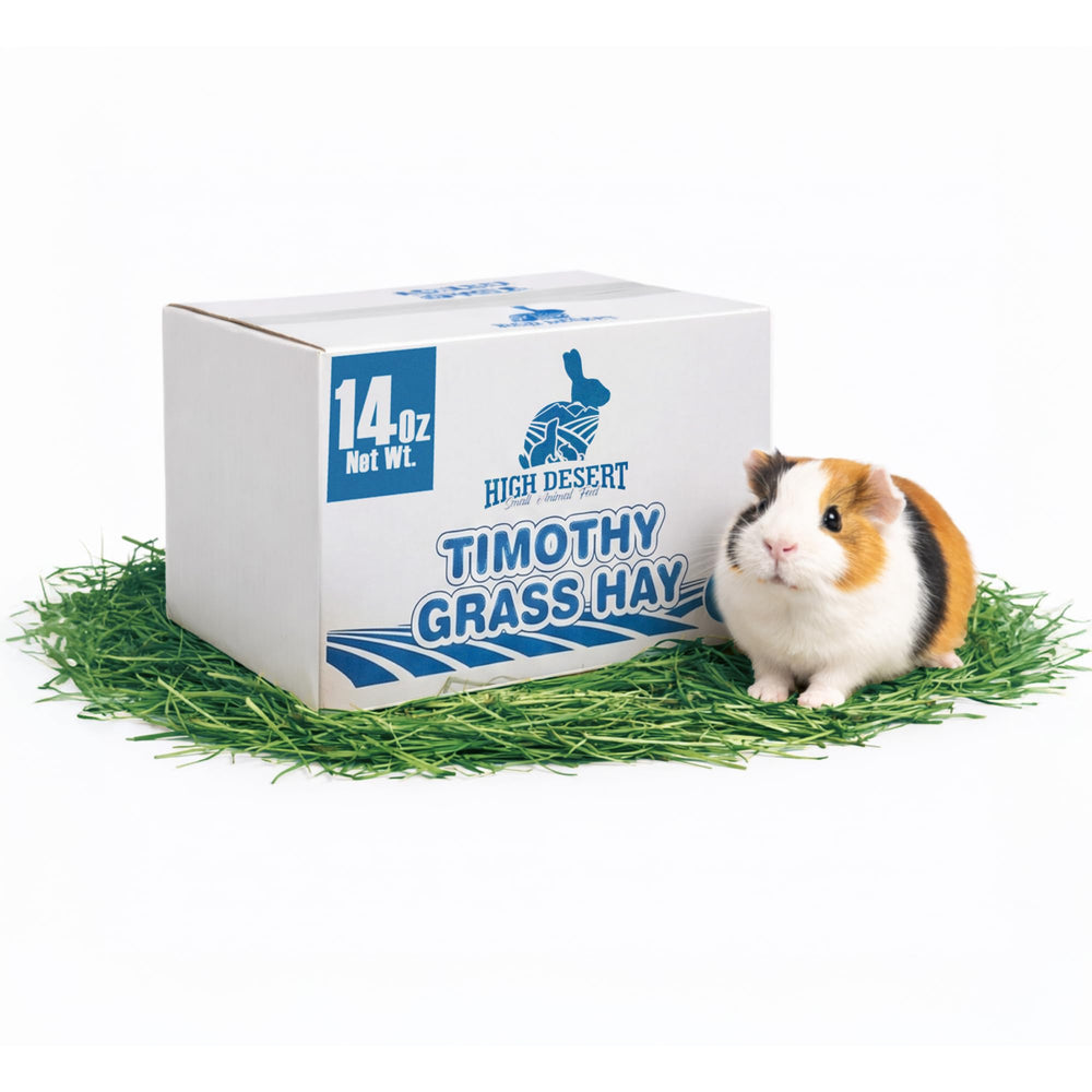 High Desert foin Timothy 2e coupe, texture tendre pour lapins et pâturage quotidien.