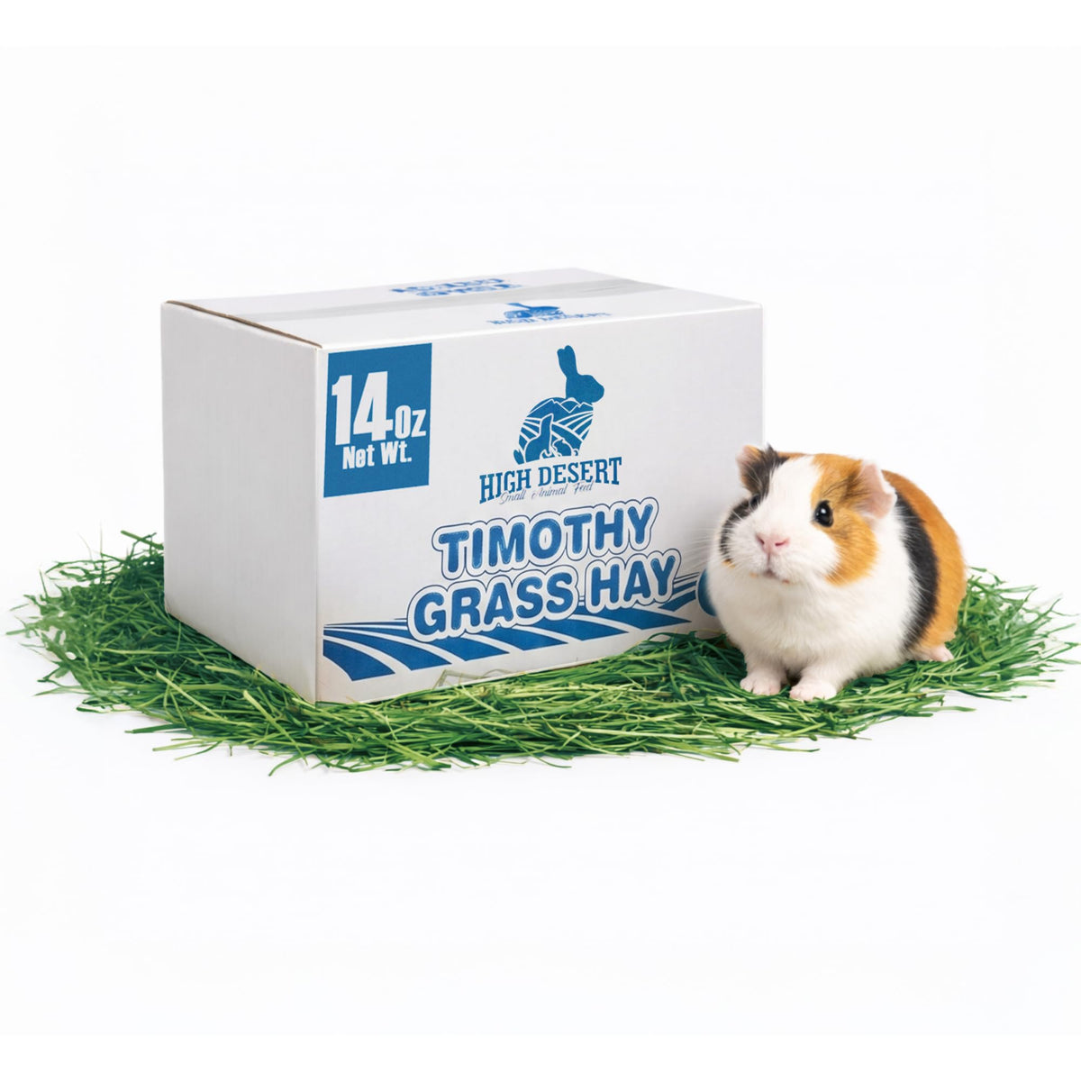 High Desert foin Timothy 2e coupe, texture tendre pour lapins et pâturage quotidien.