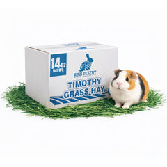 High Desert foin Timothy 2e coupe, texture tendre pour lapins et pâturage quotidien.