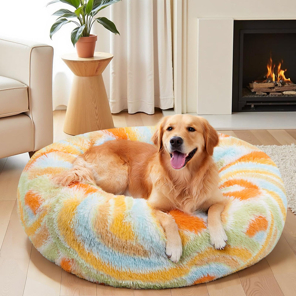 HiiARug confort durable et résistance dans la routine animale.
