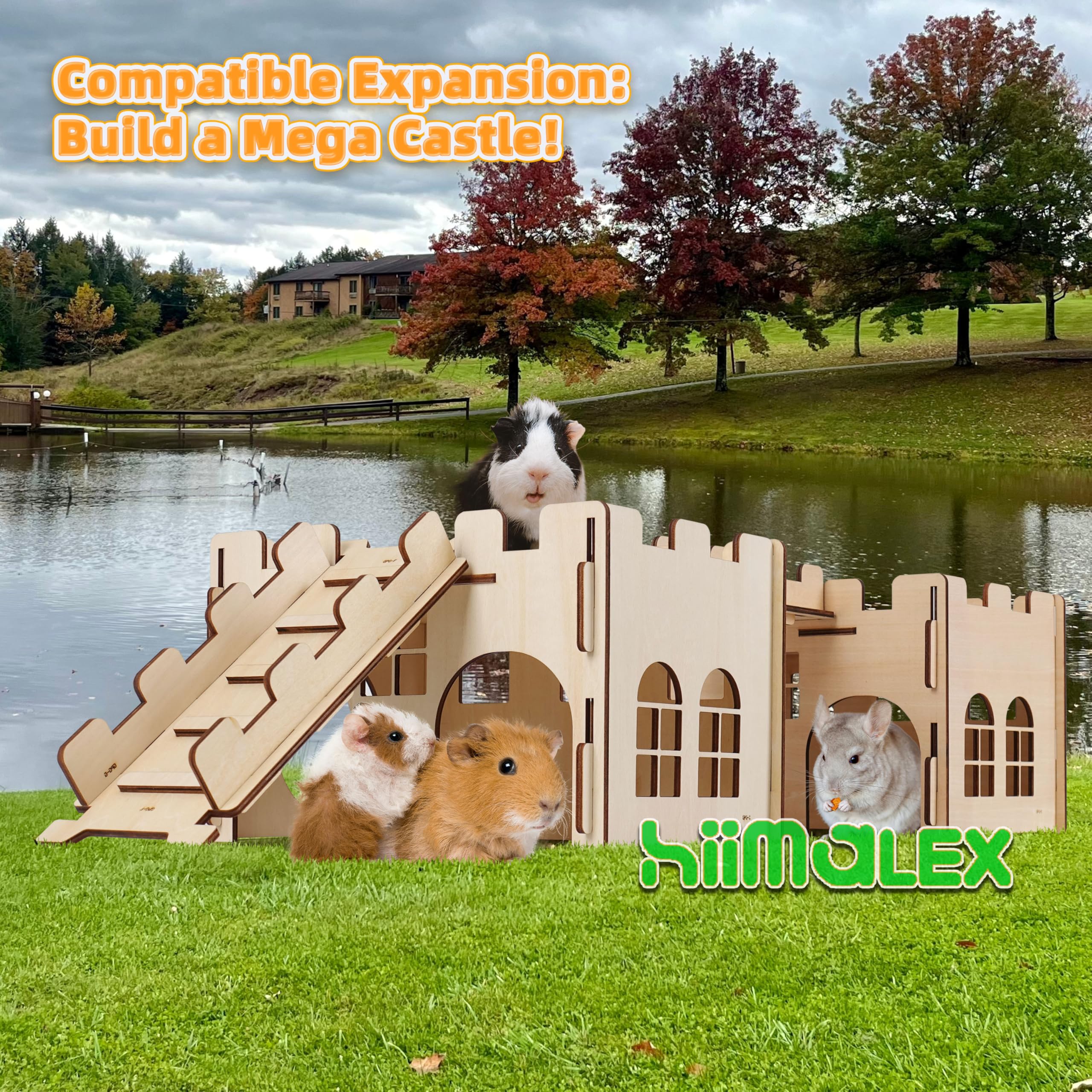 HIIMALEX face exterieure chateau bois, aspect élégant et durable.