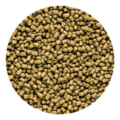 Hikari 042220 Carnivore – alimentation en aquarium, approche pratique pour nourrir vos poissons.