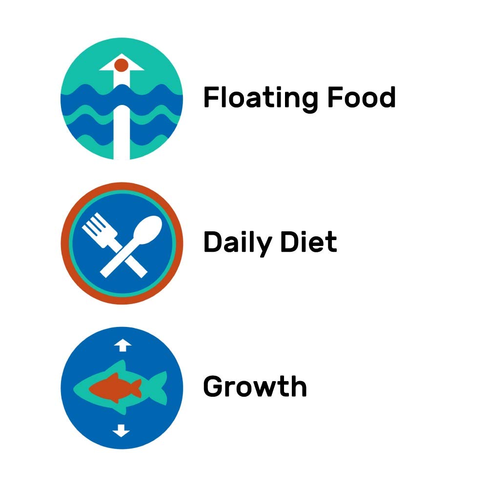 Aliments équilibrés pour une vie prolongée des cichlides avec Hikari
