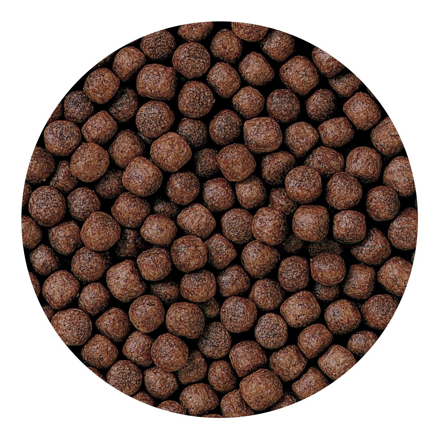Hikari Bio-Gold: Germ accélère la digestion et l'assimilation des nutriments colorants.