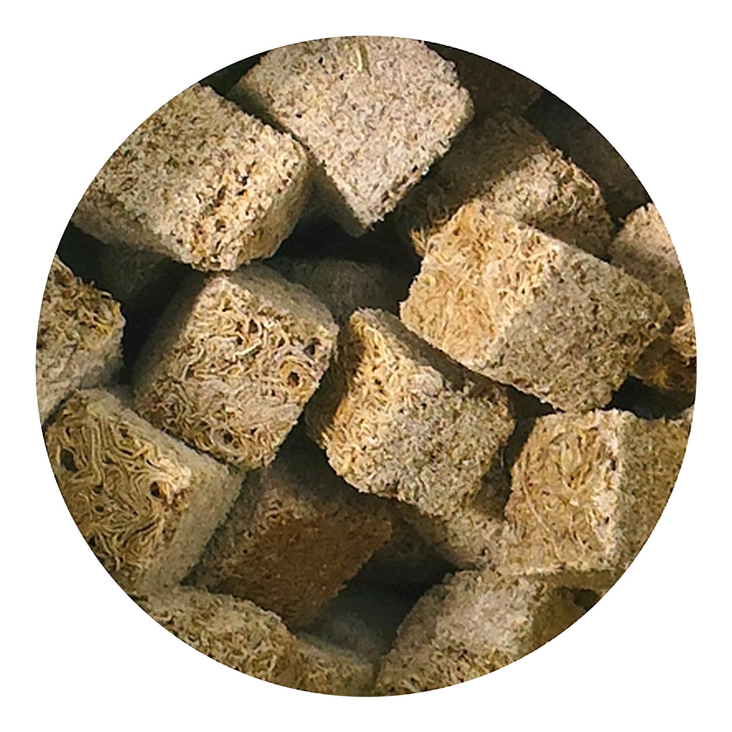 Hikari Bio-Pure Tubifex multivitaminés: équilibre nutritionnel pour vos poissons.
