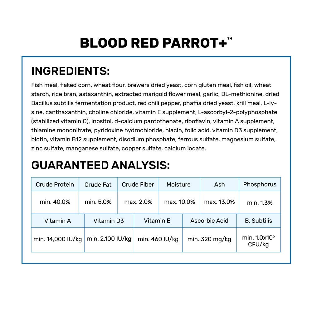 Granulés Hikari Blood Red Parrot+ dans l aquarium en action de nourrir