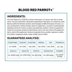 Granulés Hikari Blood Red Parrot+ dans l aquarium en action de nourrir
