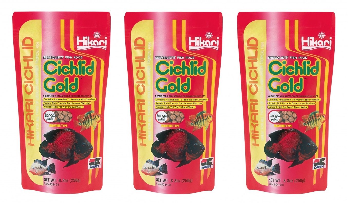 Hikari Cichlid Gold pellets flottants grand format, soutient l'appétit et la croissance des cichlidés.