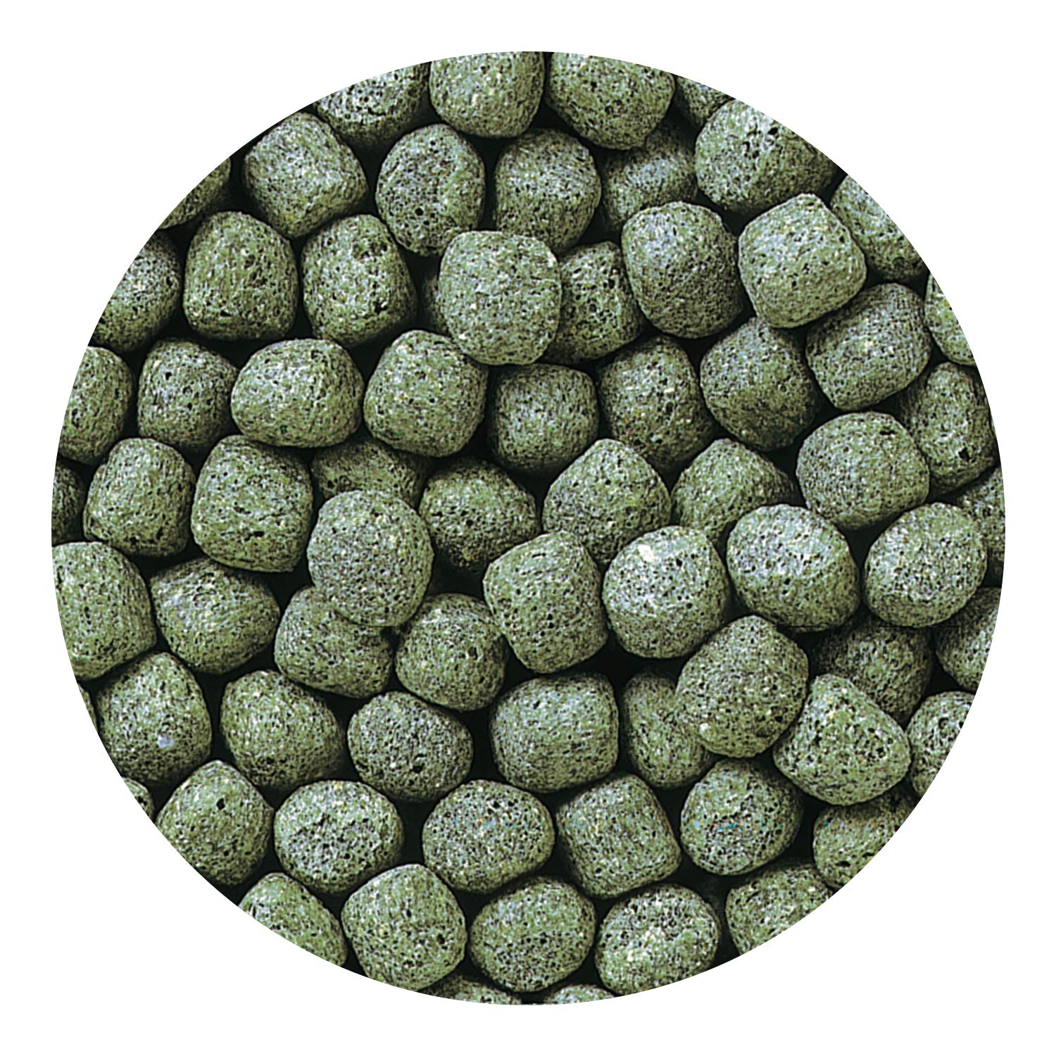 Pellets de gros format pour repas simples et réguliers des cichlides.