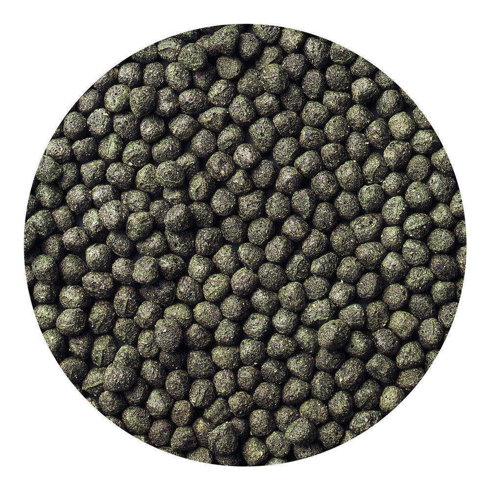 Vitamine E dans les pellets Hikari Excel pour vigueur