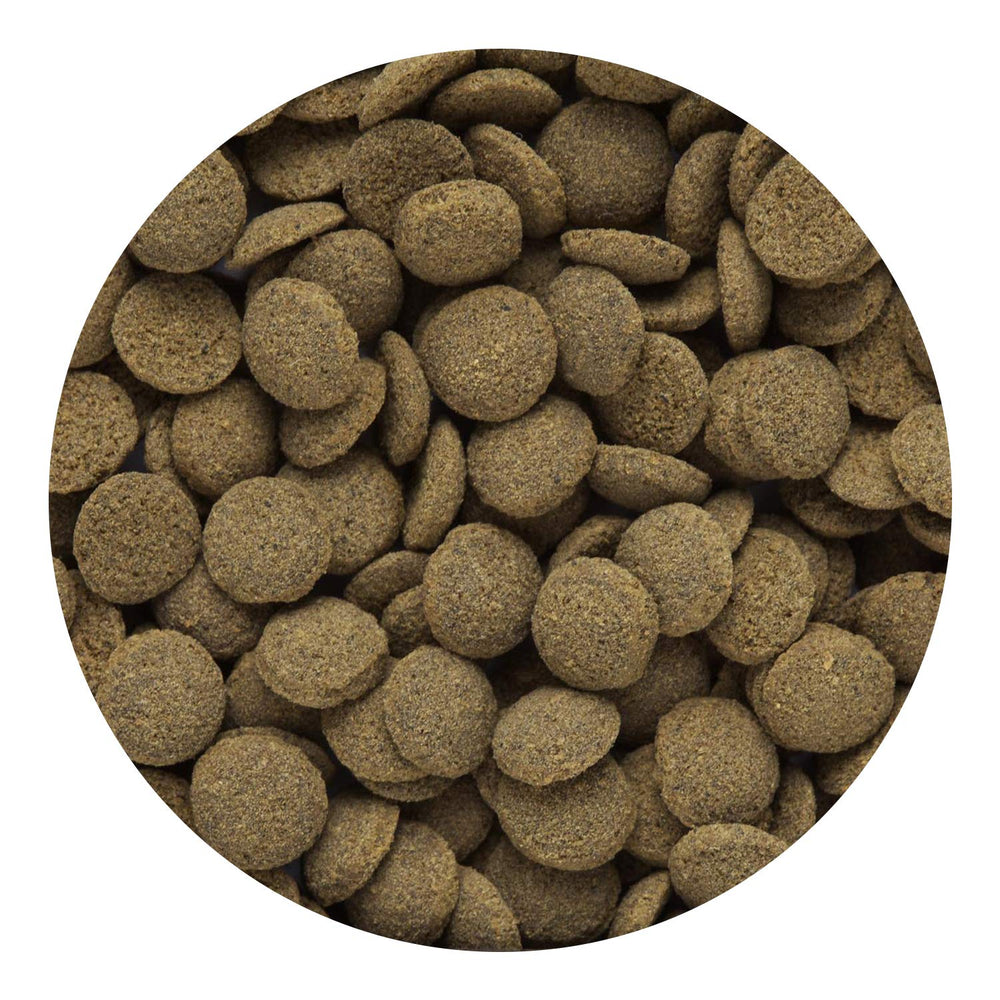 Hikari galettes coulantes – bassin aquatique pour une alimentation en douceur.
