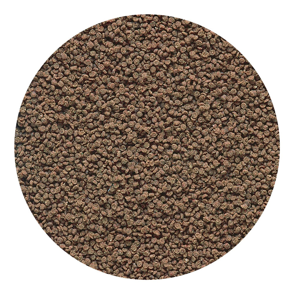 Hikari galettes micro riches en spiruline et astaxanthine pour coloration naturelle.