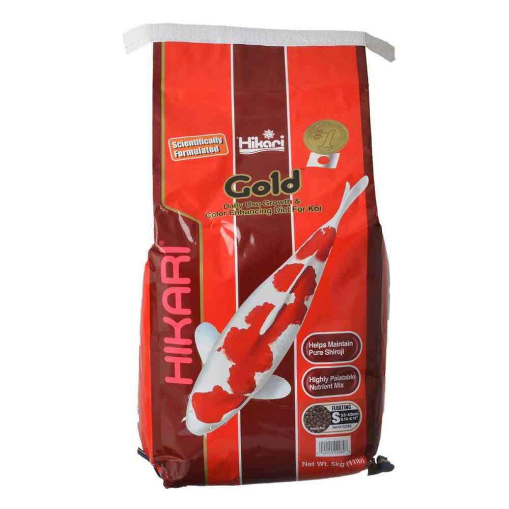 Hikari Gold Mini 11lb : granulés pour koïs, couleur éclatante et nutrition quotidienne.