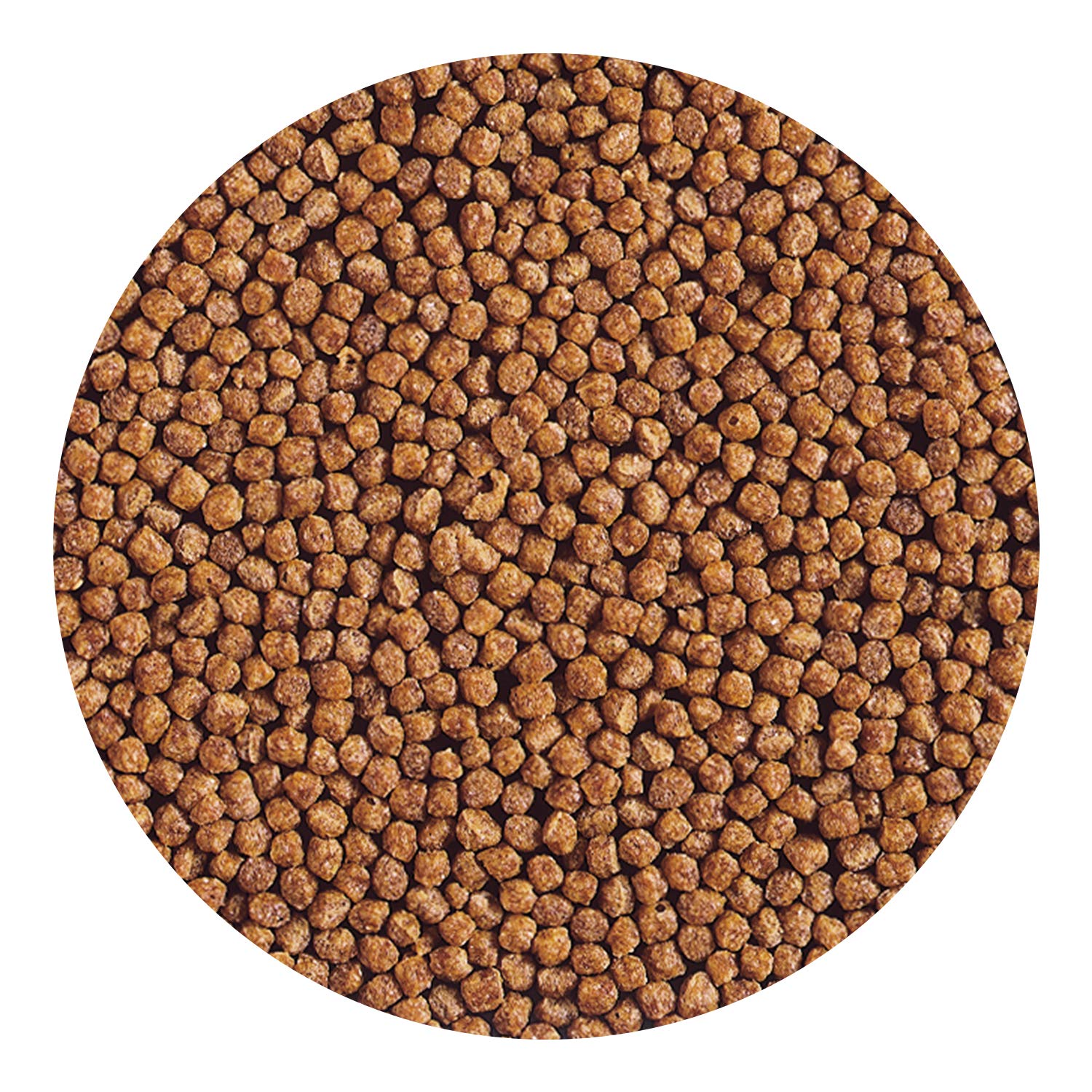 Détail des pellets Hikari Gold pour jeunes poissons rouges.