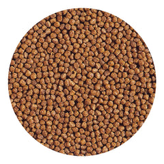 Détail des pellets Hikari Gold pour jeunes poissons rouges.