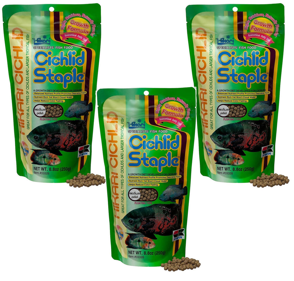 Hikari granulés d’alimentation de base pour cichlidés flottants, favorisant croissance rapide et digestion efficace.