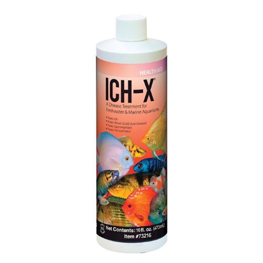 Hikari Ich X: bouteille 16oz, traitement Ich pour aquarium sain.