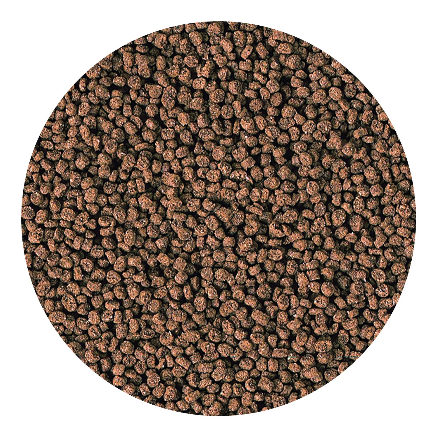 Hikari Marine-S Granules conviennent aux petits carnivores et omnivores marins.