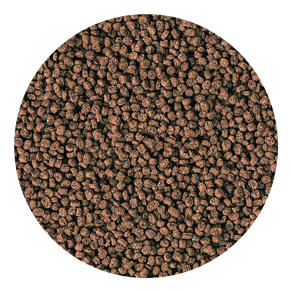 Hikari Marine-S Granules conviennent aux petits carnivores et omnivores marins.
