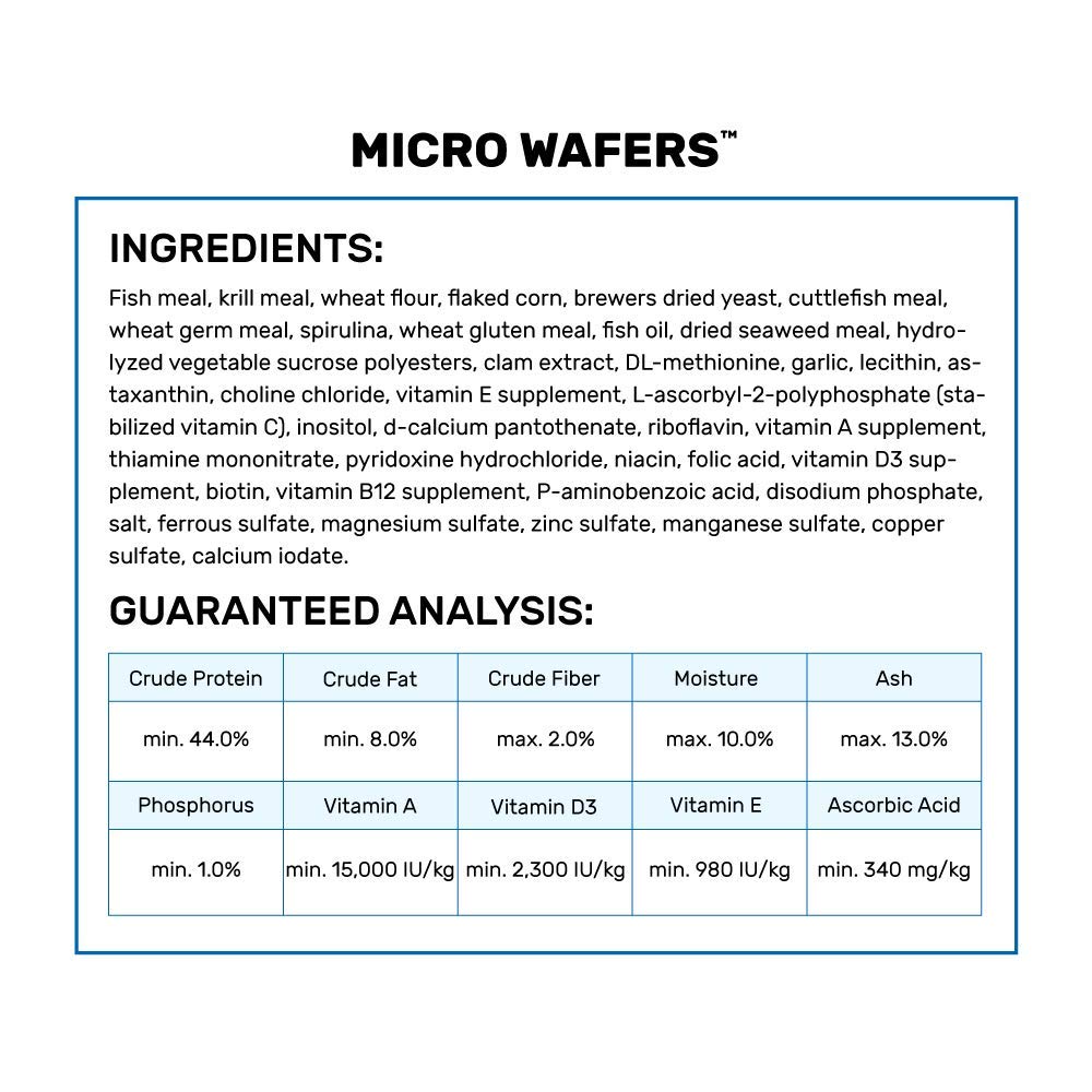 Hikari Micro Wafers gros plan sur des micro-pastilles équilibrées