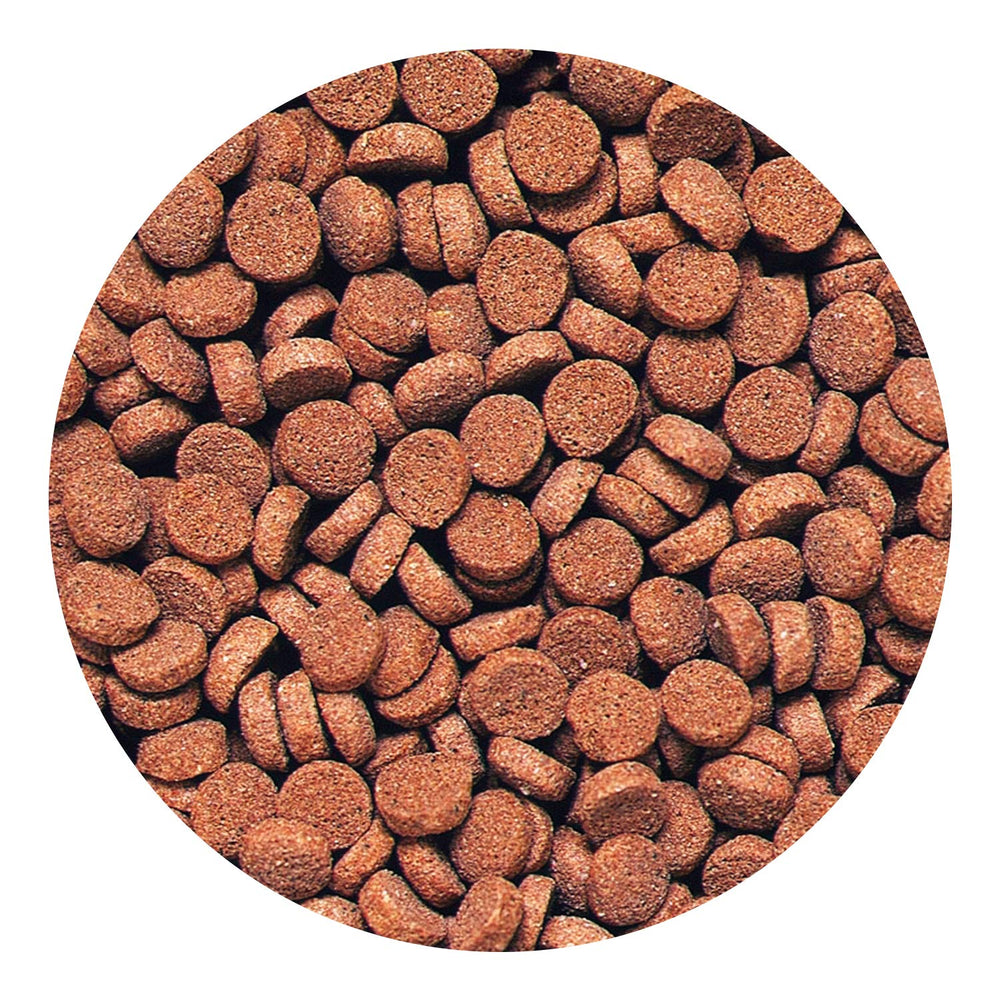 Hikari Pellets Carnivore absorption eau illustrant la texture qui rappelle une proie vivante