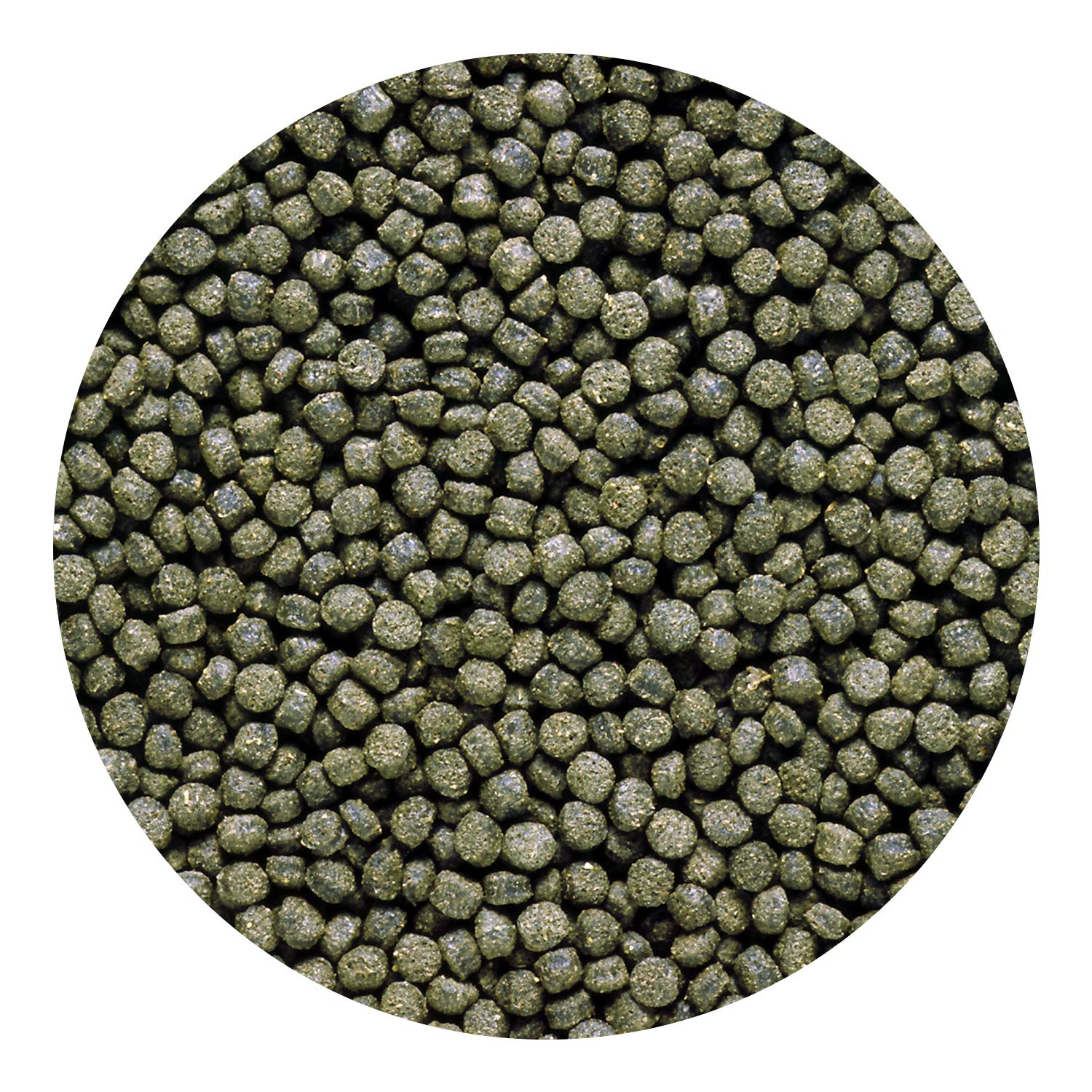 Hikari pellets cichlides spiruline couleur: teintes naturelles et éclat des nageoires.
