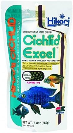 Germes de blé dans les pellets Hikari pour cichlids.