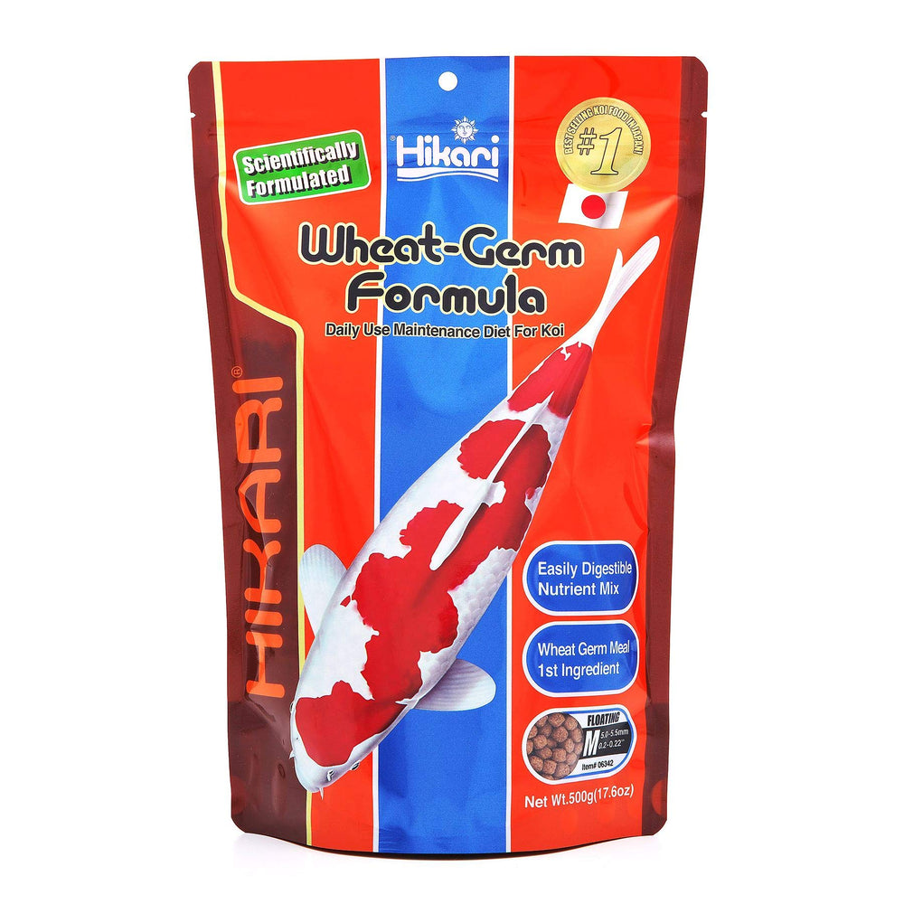 Pellets flottants Hikari au germe de blé, facilitant le suivi de la ration et la brillance du pelage.