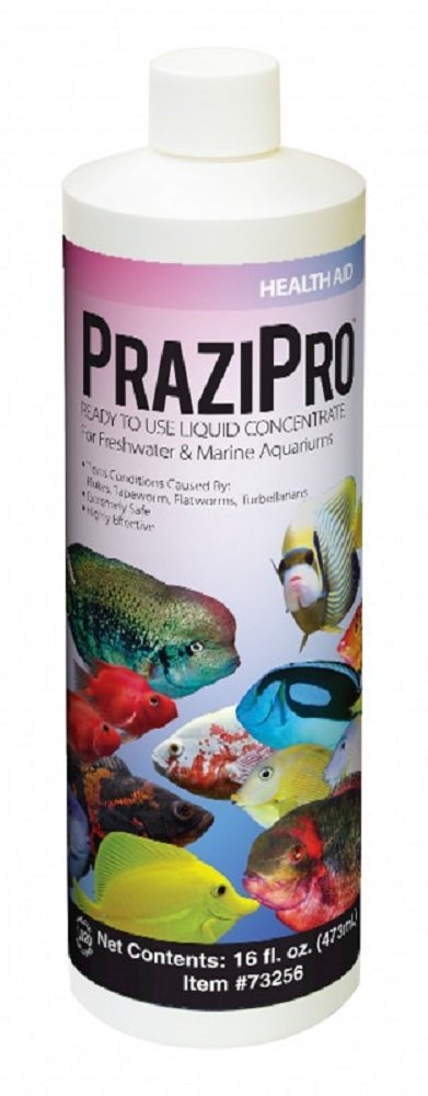Hikari Prazipro 16oz, concentré liquide prêt, lutte contre parasites pour aquariums d'eau douce et marine.