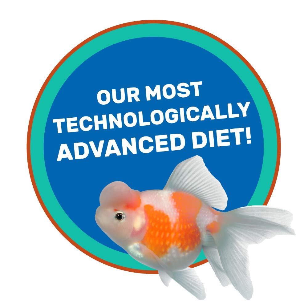 Hikari Saki alimentation quotidienne poissons rouges, routine simple et efficace