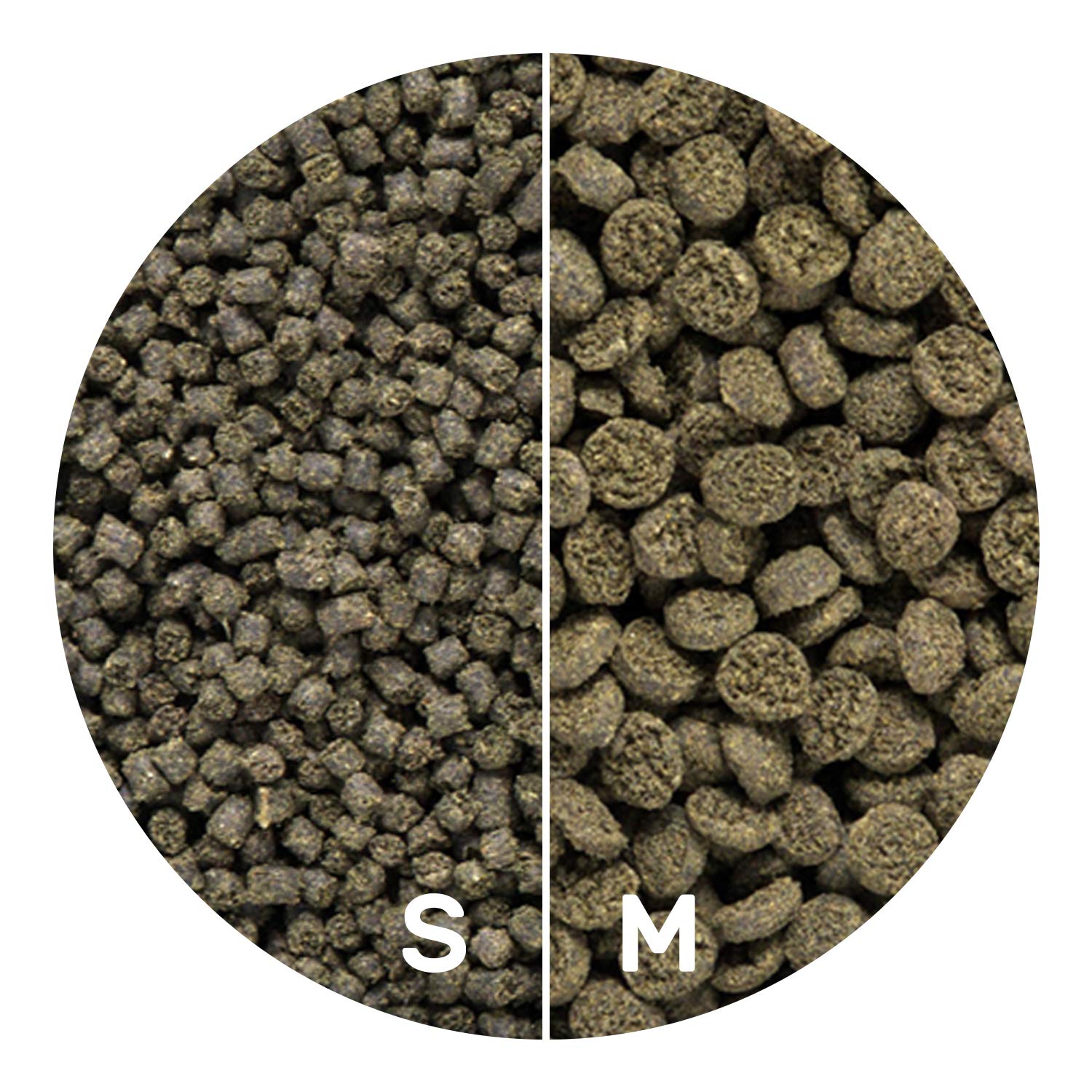 Mélange stimulant la coloration et la croissance des poissons.
