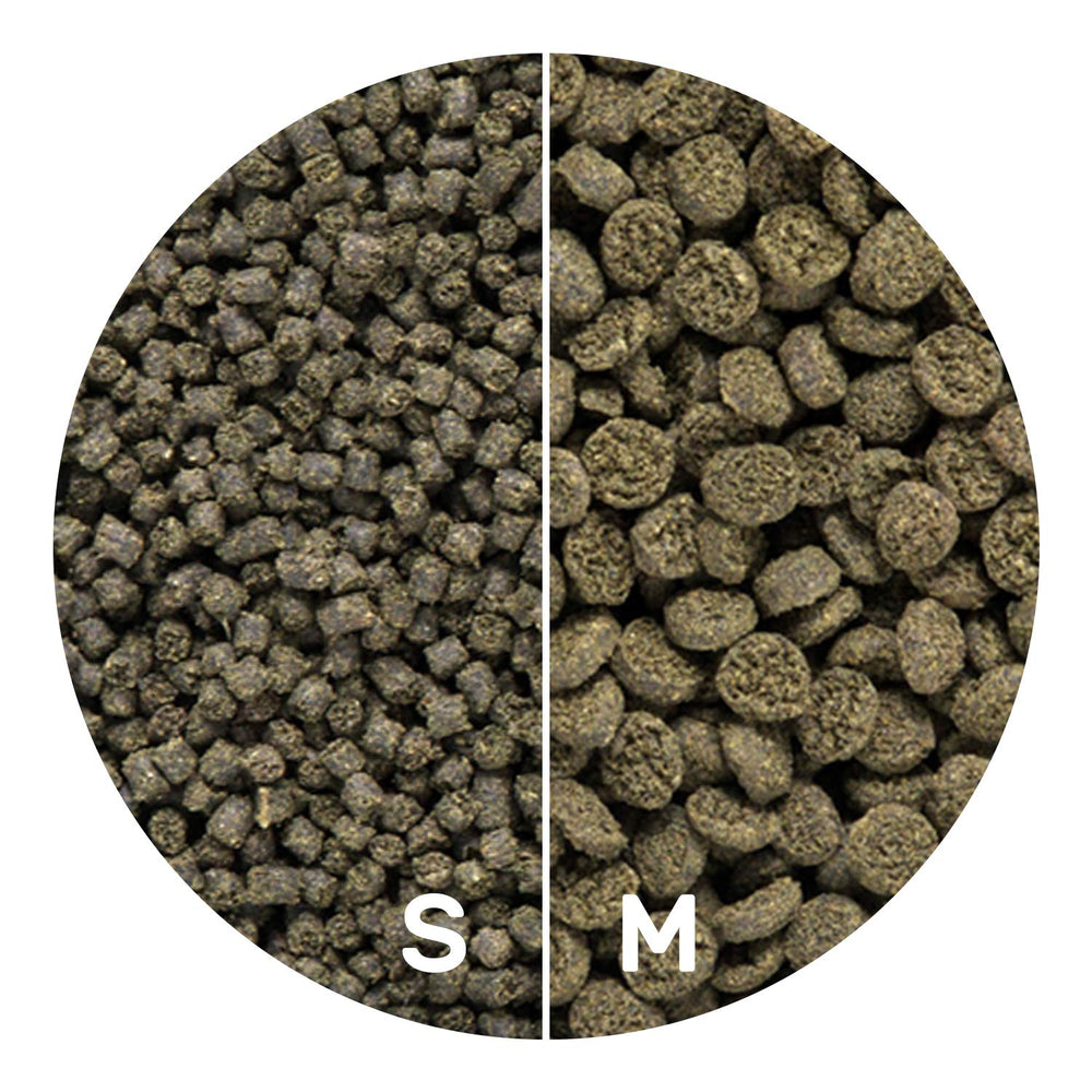 Mélange stimulant la coloration et la croissance des poissons.