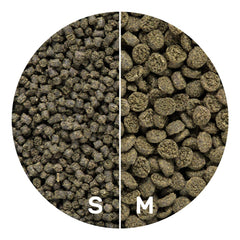 Mélange stimulant la coloration et la croissance des poissons.