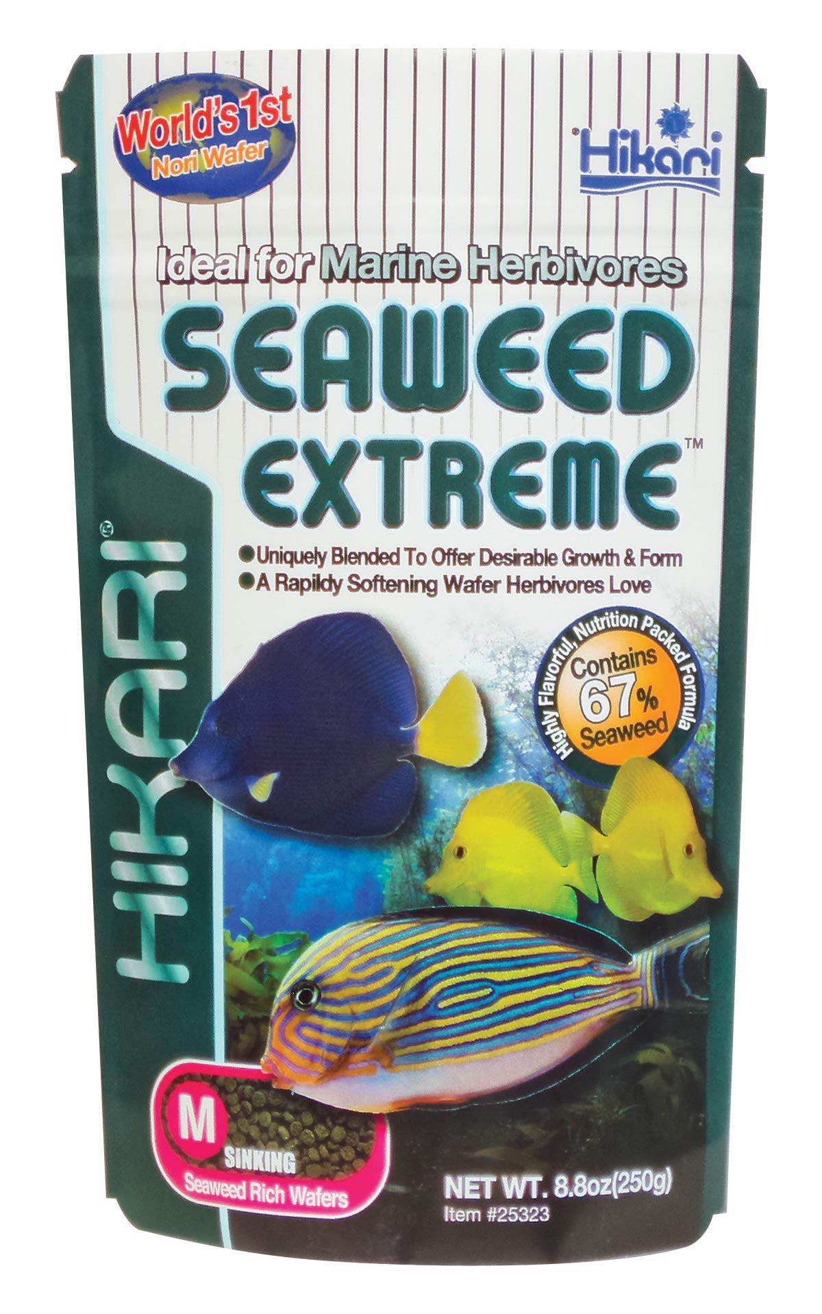 Hikari Seaweed Extreme galettes aromatiques attirant les herbivores facilement.