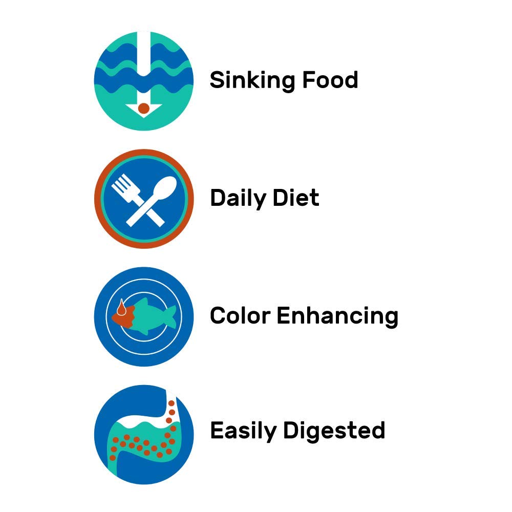 Spiruline digestible Hikari Excel améliorant les couleurs des poissons rouges
