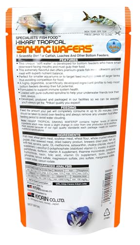 Gros plan sur les wafers Hikari Tropical, texture et goût