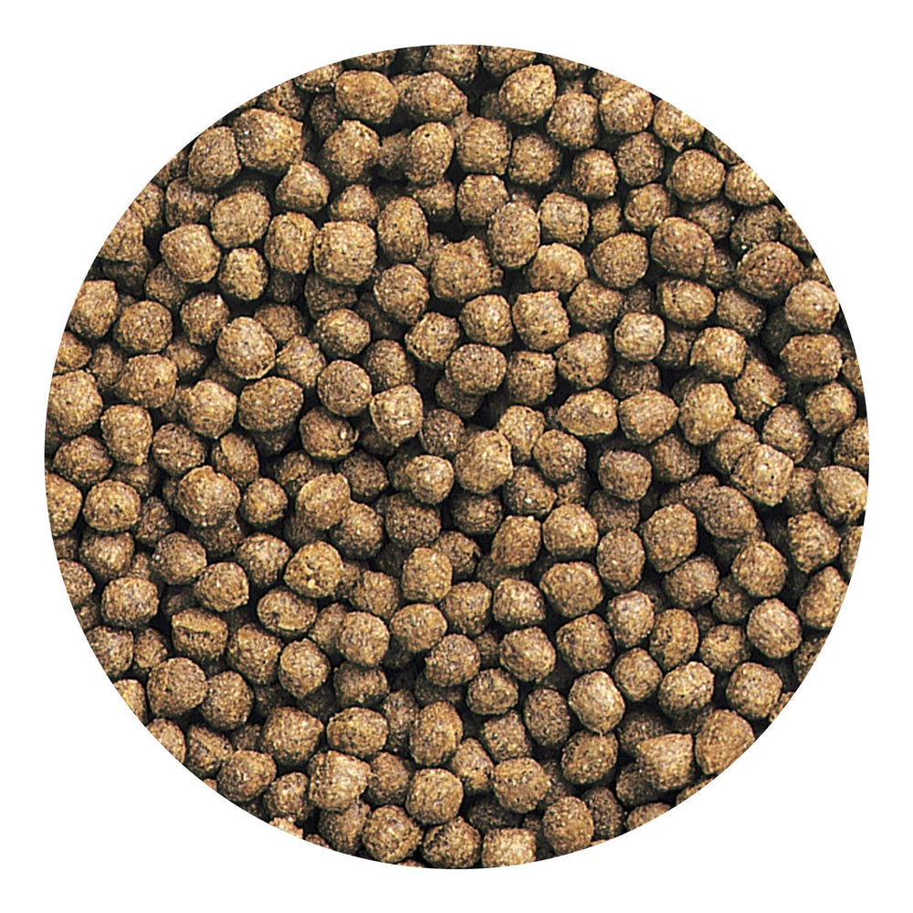 Emballage pratique Hikari Oranda Gold pour dosage quotidien.
