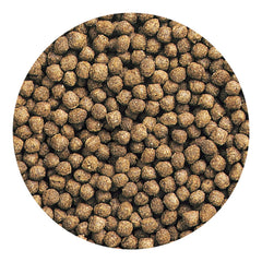 Emballage pratique Hikari Oranda Gold pour dosage quotidien.