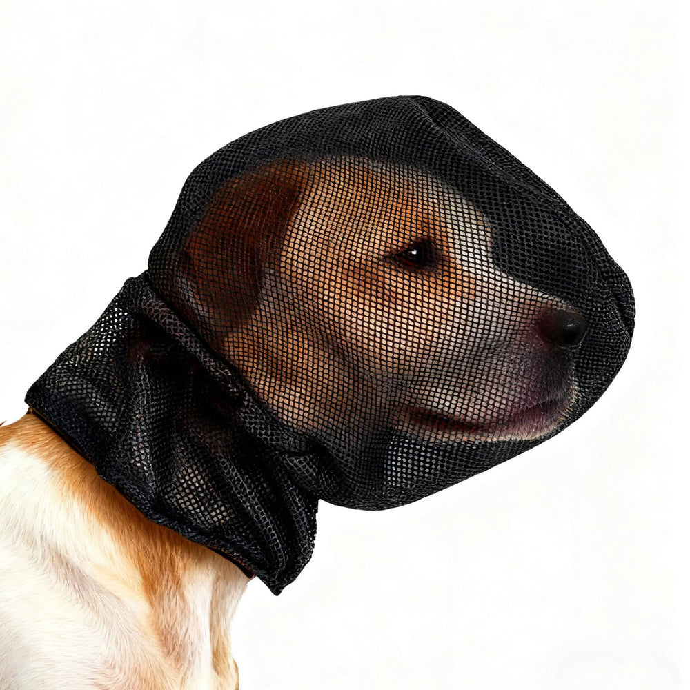 Hikiwin masque-chien-foxtail-face: protège le visage lors des balades.