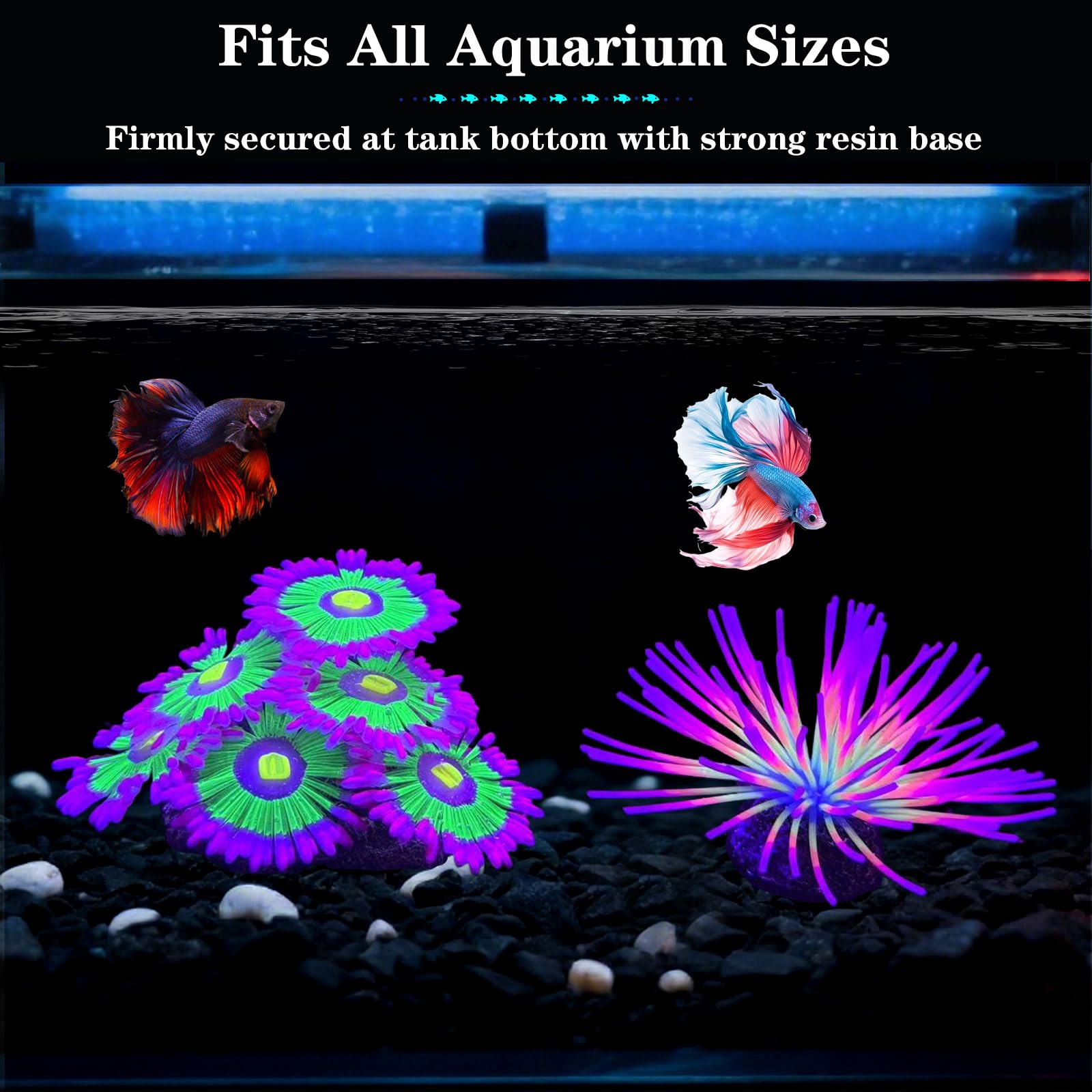 Oursin arc-en-ciel HIKTQIW pour décor d’aquarium lumineux
